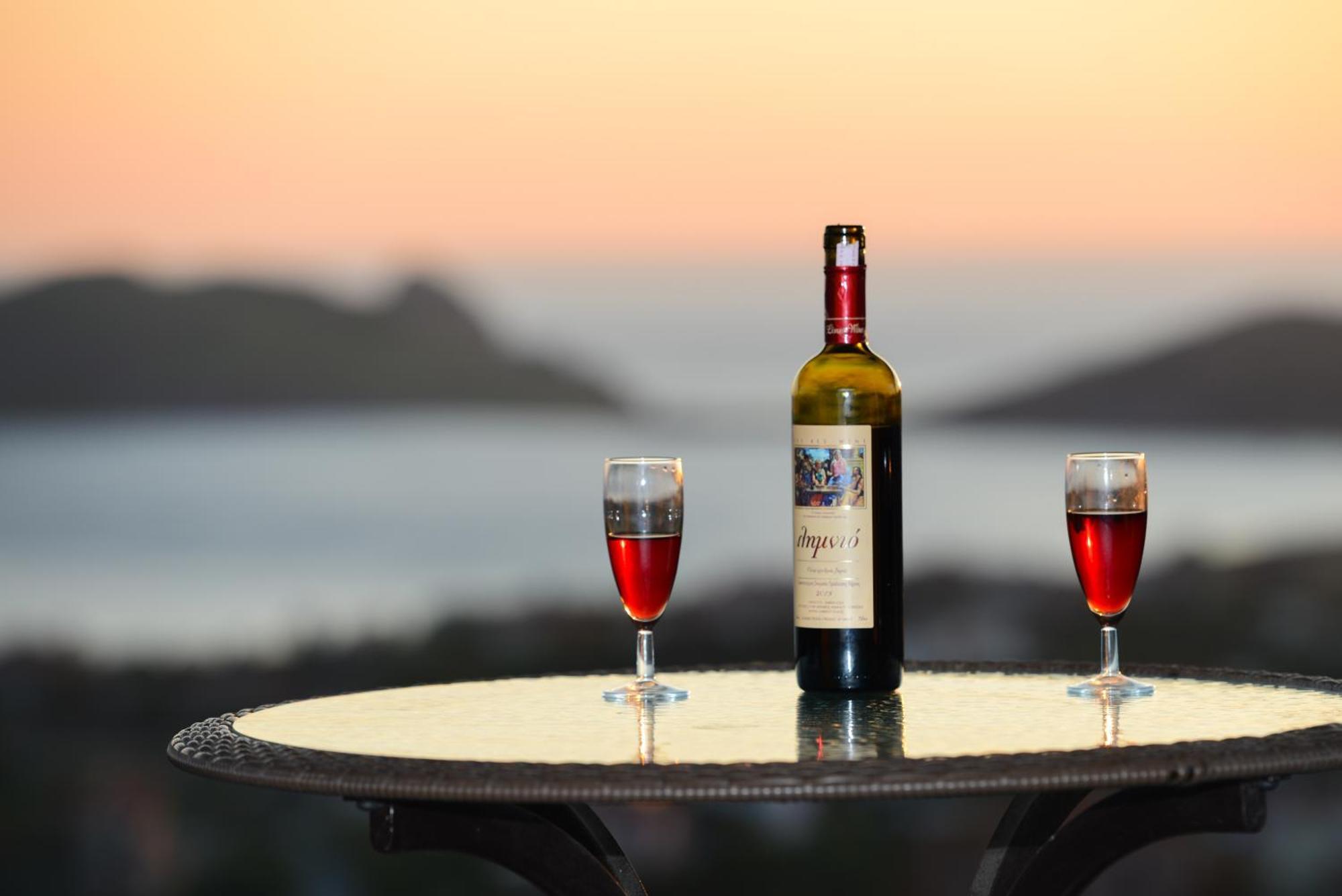 Hotel Dina - Ξενοδοχείο Ντινα Plati  Esterno foto